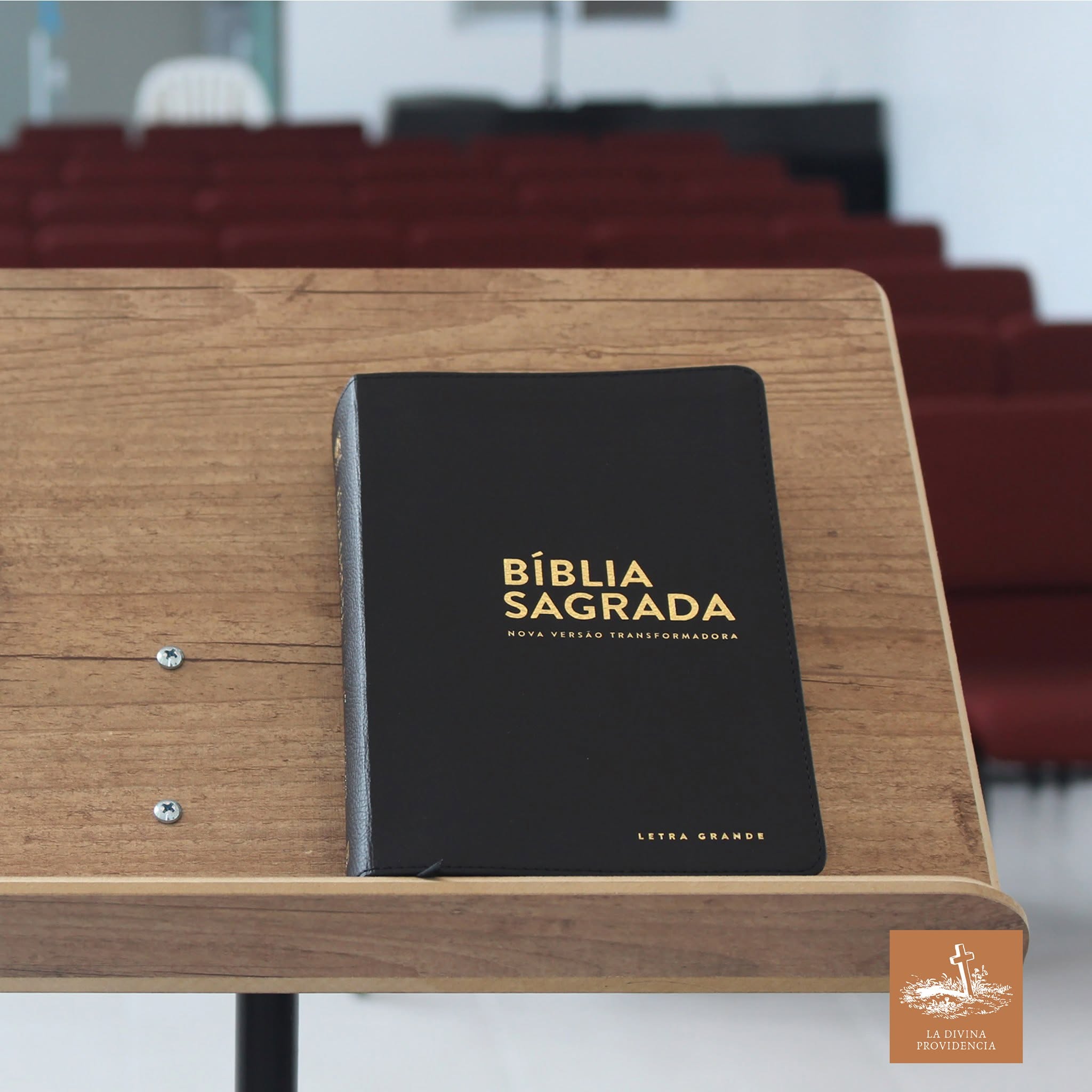 Biblias en la Divina Providencia de Papantla Veracruz