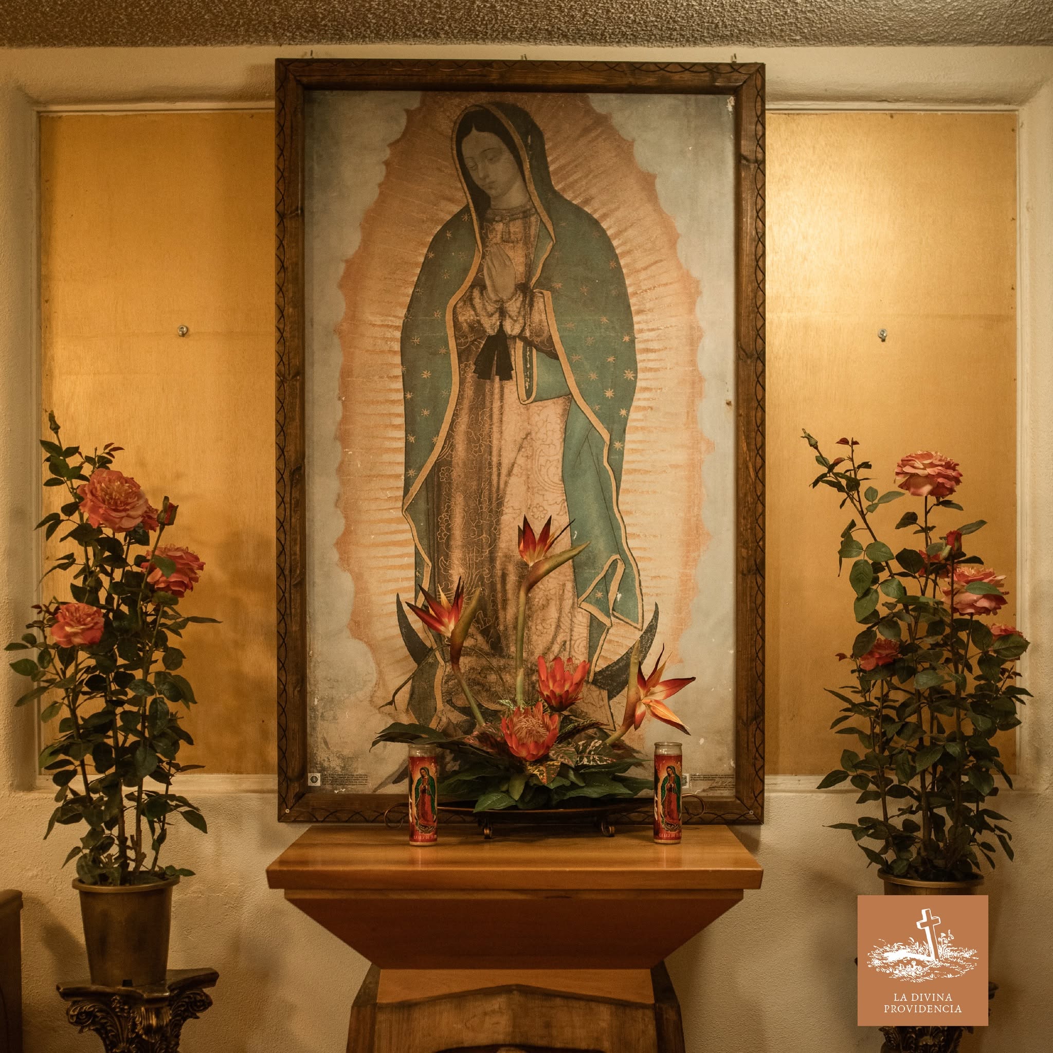 Virgen de Guadalupe de la Divina Providencia EN Papantla